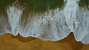 Jean François HUMBERT - JFH