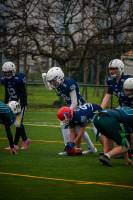 Charlie GARDERE - GARDERE CHARLIE